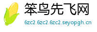 笨鸟先飞网